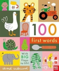 100 First Words (With BIG Flaps To Lift) - Nosy Crow