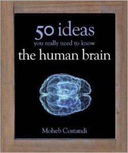 50 Human Brain Ideas You Need to Know - Quercus