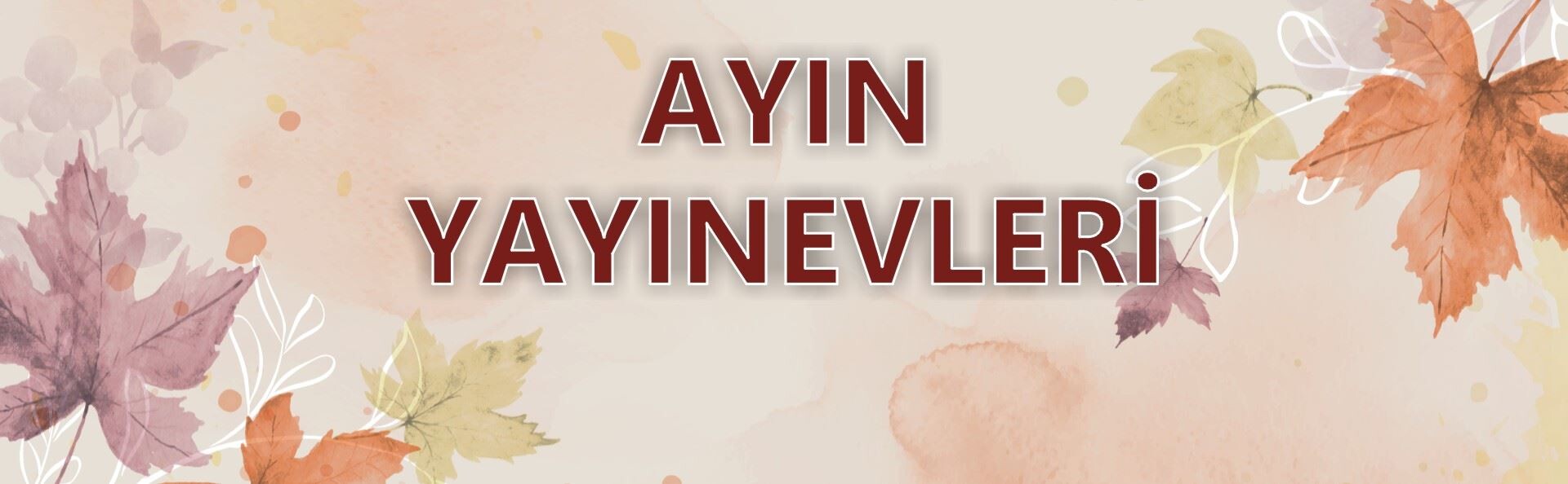 Ayın Yayınevleri (1)