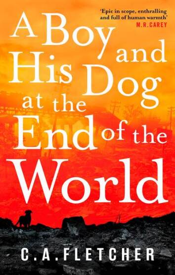 A Boy and his Dog at the End of the World - Orbit Books UK