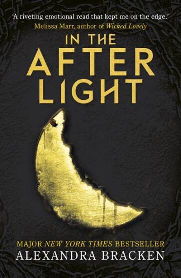 A Darkest Minds Novel: In the Afterlight - 1