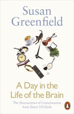 A Day In the Life of the Brain - Penguin Books UK