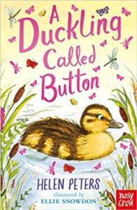 A Duckling Called Button - Nosy Crow