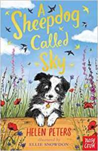 A Sheepdog Called Sky - 1