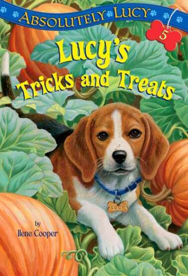 Absolutely Lucy #5: Lucy's Tricks and Treats - 1