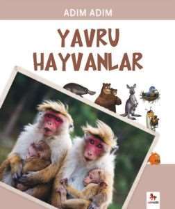 Adım Adım Yavru Hayvanlar - Almidilli Yayınları