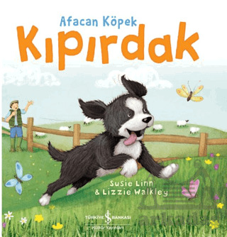 Afacan Köpek Kıpırdak - 2