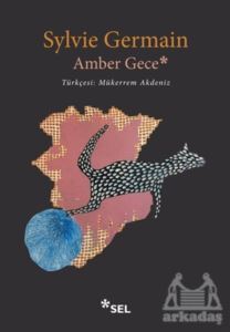 Amber Gece - Sel Yayıncılık