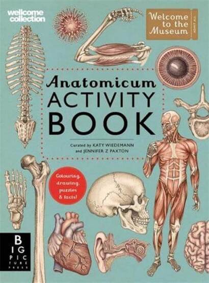 Anatomicum Activity Book - Big Picture Press