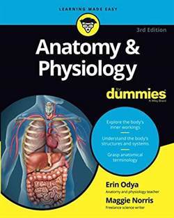 Anatomy And Physiology For Dummies - For Dummies