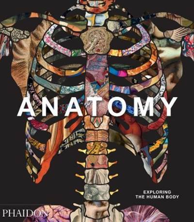 Anatomy: Exploring the Human Body - Phaidon Press