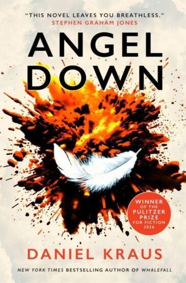 Angel Down - Titan Books