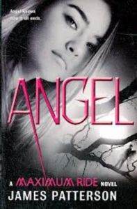 Angel (Maximum Ride 7) - Little Brown USA