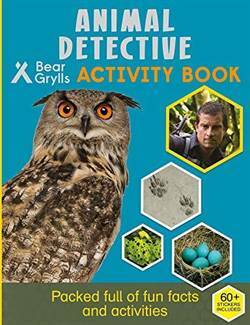 Animal Detective Activity Book - 1