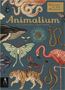 Animalium - 1