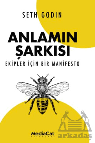 Anlamın Şarkısı - Mediacat Kitapları