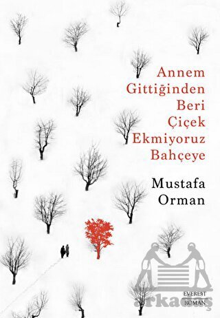 Annem Gittiğinden Beri Çiçek Ekmiyoruz Bahçeye - Everest Yayınları