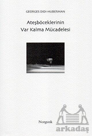 Ateşböceklerinin Var Kalma Mücadelesi - Norgunk Yayıncılık