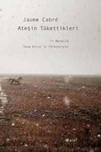 Ateşin Tükettikleri - 1