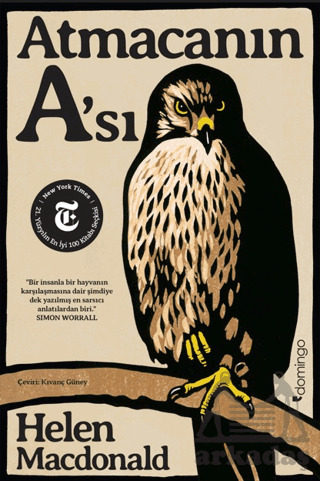 Atmacanın A'sı - Domingo Yayınevi