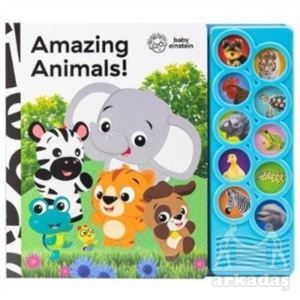 Baby Einstein: Amazing Animals (10-Button Sound Book) - PI Kids