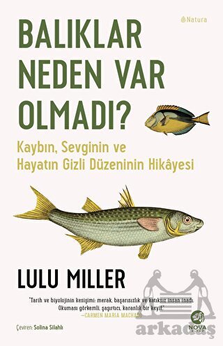 Balıklar Neden Var Olmadı? - Nova Kitap