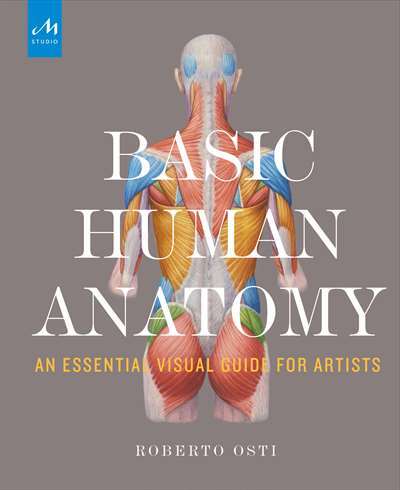 Basic Human Anatomy - Monacelli Studio UK