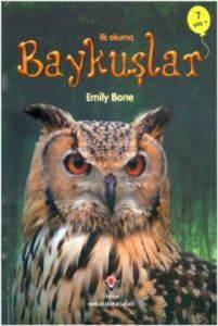 Baykuşlar - 1