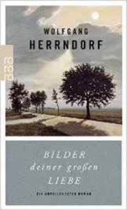 Bilder deiner groben Liebe - Rowohlt