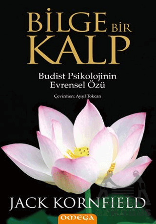 Bilge Bir Kalp - Omega