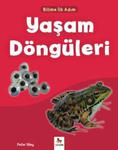 Bilime İlk Adım - Yaşam Döngüleri - Almidilli Yayınları