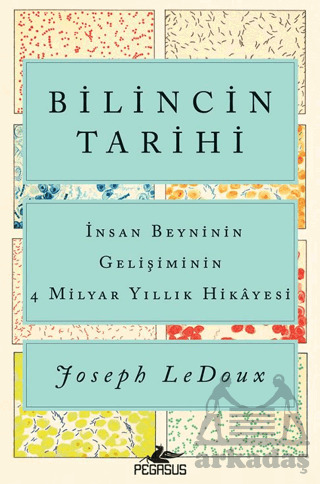 Bilincin Tarihi: İnsan Beyninin Gelişiminin 4 Milyar Yıllık Hikayesi - 1