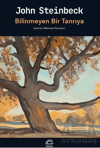 Bilinmeyen Bir Tanrıya - İletişim Yayınevi