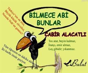 Bilmece Abi Bunlar - Bulut Yayınları