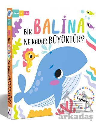 Bir Balina Ne Kadar Büyüktür? - 1