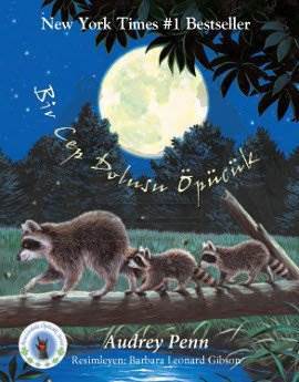 Bir Cep Dolusu Öpücük; Minik Rakun - Avucundaki Öpücük Serisi - Butik Yayınları