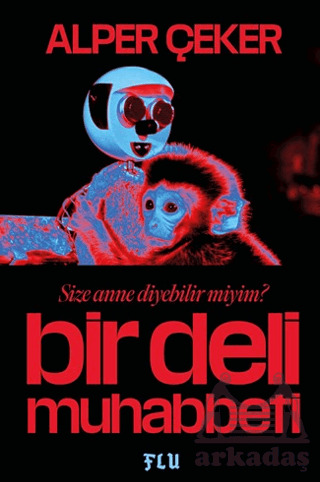 Bir Deli Muhabbeti - Flu Kitap