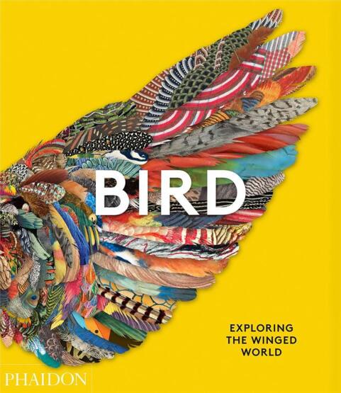Bird Exploring the Winged World - Phaidon Press