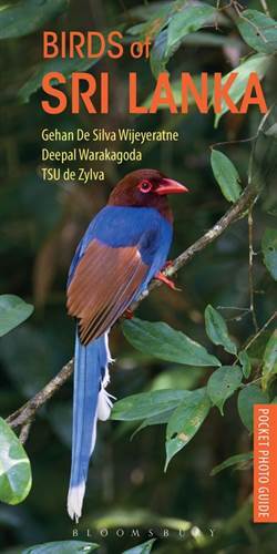 Birds of Sri Lanka - Bloomsbury