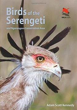 Birds Of The Serengeti And Ngorongoro Conservation Area - Princeton University Press