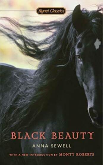Black Beauty - Signet USA