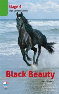 Black Beauty Stage 4 (CD'siz) - 1