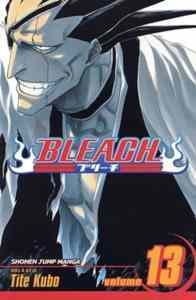 Bleach 13 - 1