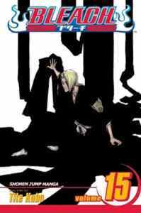 Bleach 15 - 1