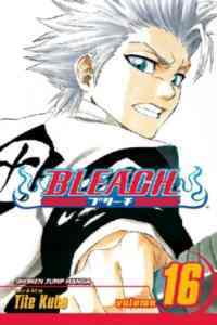 Bleach 16 - 1