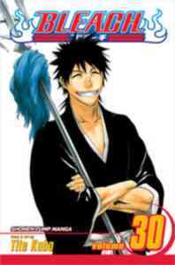 Bleach 30 - 1