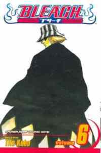 Bleach 6 - VIZ Media