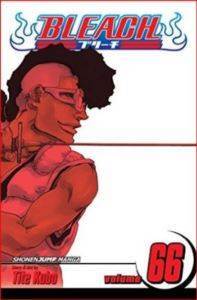 Bleach 66 - VIZ Media