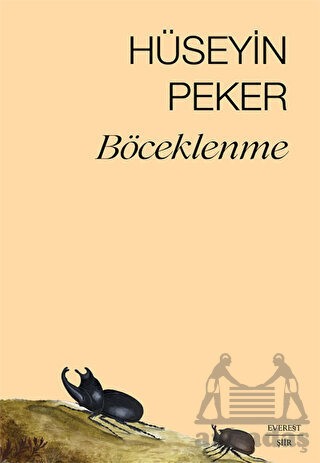 Böceklenme - Everest Yayınları
