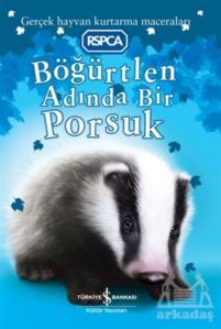 Böğürtlen Adında Bir Porsuk - 1